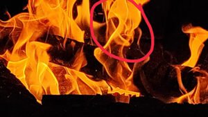 Baglamukhi Videshan Puja