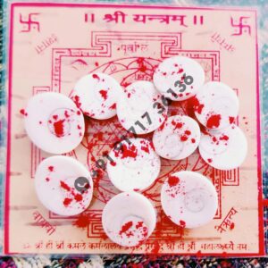 Shree Yantra, Gomati Chakra