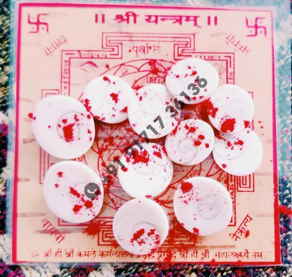 Shree Yantra, Gomati Chakra